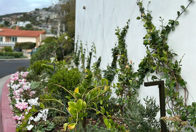 Outdoor Solid Brass Path Light with Plants Coto de Caza